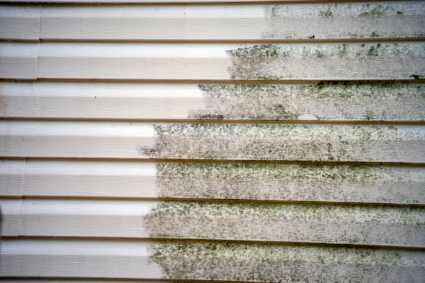 Best Custom Trim and Detailing for Siding  in Normandy Park, WA